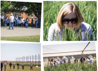 Germplasm development showcase opens eyes