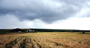 Oorsig van 2018 se garsoes in Suid-Afrika