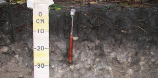 SOIL: THE PRODUCER’S MOST IMPORTANT ASSET Part 17: Organic material in soil (iv)