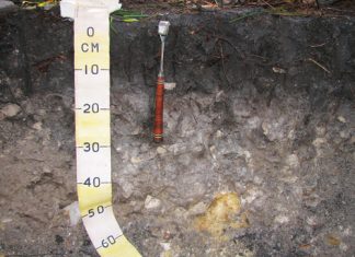 SOIL: THE PRODUCER’S MOST IMPORTANT ASSET Part 17: Organic material in soil (iv)