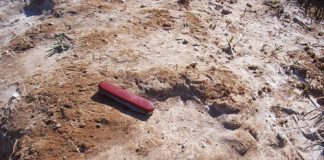 SOIL: THE PRODUCER’S MOST IMPORTANT ASSET Part 18: Saline and sodium soils