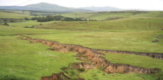 SOIL: THE PRODUCER’S MOST IMPORTANT ASSET Part 21: Soil degradation (iii)