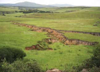 SOIL: THE PRODUCER’S MOST IMPORTANT ASSET Part 21: Soil degradation (iii)