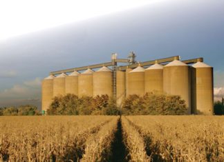 Nuwe in- en uitvoerinligting: Wat beteken dit?