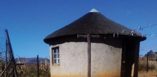 Agricultural lime and commercialisation of small-scale farmers