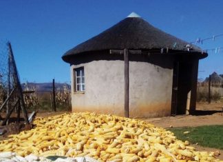 Agricultural lime and commercialisation of small-scale farmers