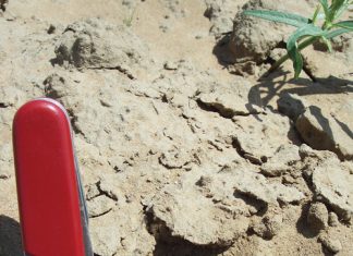 SOIL: THE PRODUCER’S MOST IMPORTANT ASSET Part 16: Organic material in soil (iii)