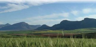 Landbouchemiese prystendense onder die loep… Hoe het dit jou geraak?