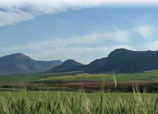 Landbouchemiese prystendense onder die loep… Hoe het dit jou geraak?
