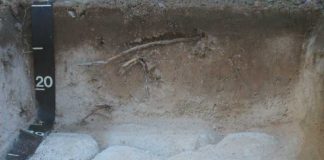 SOIL: THE PRODUCER’S MOST IMPORTANT ASSETPart 23: Soil formation processes