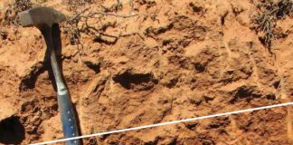 SOIL: THE PRODUCER’S MOST IMPORTANT ASSETPart 25: Soil classification (ii)
