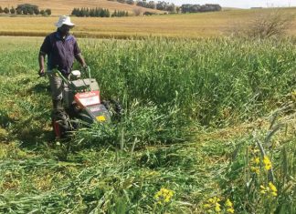 Oesskattings in perspektief