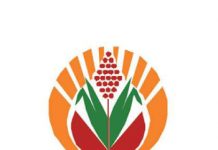 Grain trusts support sustainability PART 4: Sorghum Trust