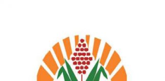 Grain trusts support sustainability PART 4: Sorghum Trust