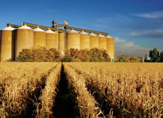 Dít sê prof Roberts se verslag