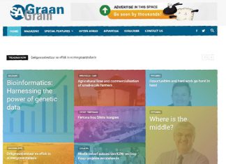 Eie webblad vir SA Graan/Grain