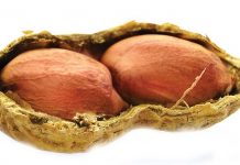 Oesskattings in perspektief