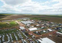 NAMPO Kaap skud vere reg vir September