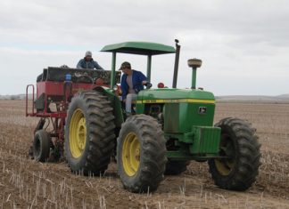 Ontwikkeling van stikstofbemestingsnorme vir koring onder bewaringslandboutoestande in die Wes-Kaap