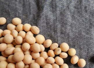 Teling-en-tegnologieheffing op sojabone: Algemene vrae en antwoorde