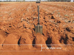 Is diep skeurploeg elke jaar nodig?