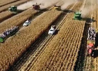 Stropers, balers jaag mekaar