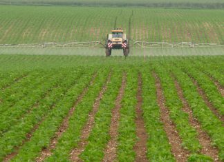 Klop plaagdoderweerstand met slim planne