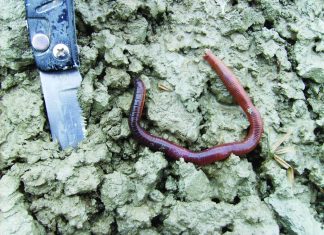 GROND: DIE PRODUSENT SE BELANGRIKSTE BATEDeel 15: Grondorganiese materiaal (ii)