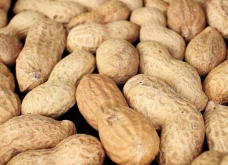 Beskikbaarheid en prys van grondboonsaad vir nuwe seisoen