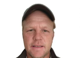 Mentorship: Supporting a vision, conquering division