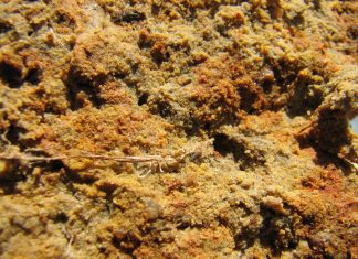 GROND: DIE PRODUSENT SE BELANGRIKSTE BATEDeel 19: Gronddegradasie (i)