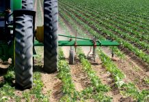 What is your responsibility?