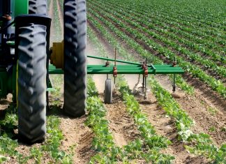 What is your responsibility?