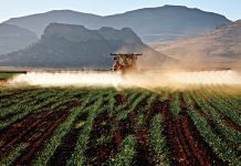 Effektiwiteit van chemiese onkruid- en plaagdoders – doen dit reg en spaar