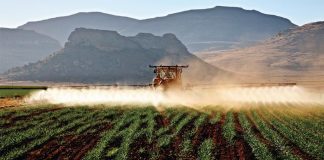 Effektiwiteit van chemiese onkruid- en plaagdoders – doen dit reg en spaar