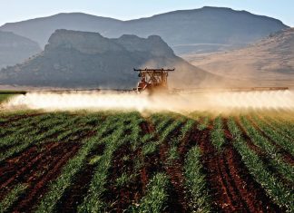 Effektiwiteit van chemiese onkruid- en plaagdoders – doen dit reg en spaar