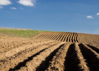 Volhoubare gewasproduksie deur grondverbetering