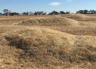 Bestuur onkruidsade só tydens die oesproses – Deel 1