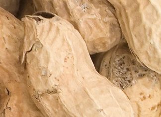 Grondbone-oesskattings – ‘n provinsiale perspektief