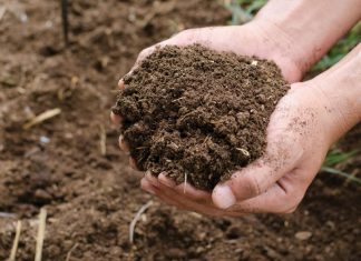 Meet en weet hoeveel kunsmis regtig nodig is