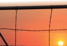 Agri SA & Fidelity ADT: Vennote teen misdaad