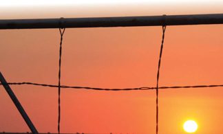 Agri SA & Fidelity ADT: Vennote teen misdaad