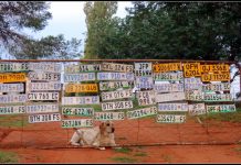 Boerderygemeenskap se veiligheid is prioriteit