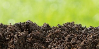 Die voordele van grondmikrobes vir grondgesondheid