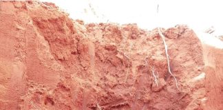 Bewaringslandbou skep nuwe navorsingsbehoeftes