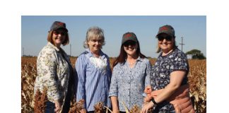 Sorghumdag bied geleentheid vir interaksie