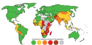 Getting quality seed to where it matters