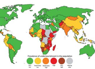 Getting quality seed to where it matters