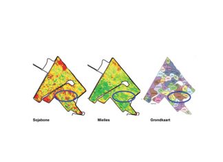 Grondtipes behoort gewaskeuse te beïnvloed