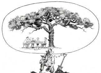 Skep ruim skaduwee vir die toekoms